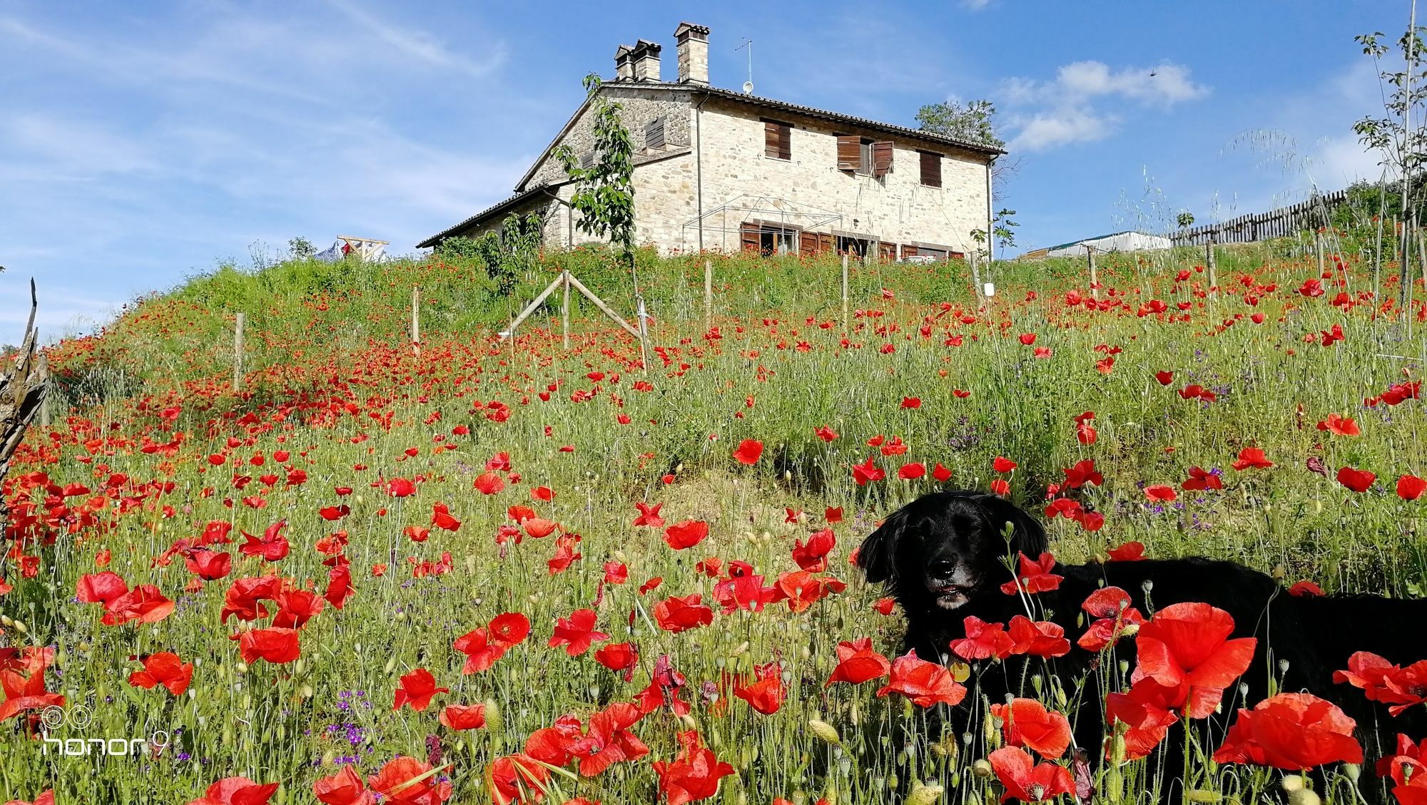 Casale Le Orme Bed and Breakfast Todi Exteriör bild